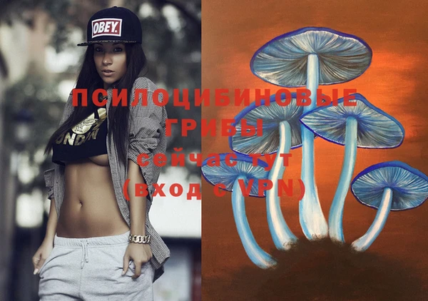 героин Михайлов