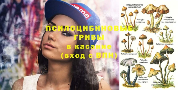 ГАЛЛЮЦИНОГЕННЫЕ ГРИБЫ Михайловск
