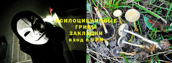 ALPHA PVP Дмитров