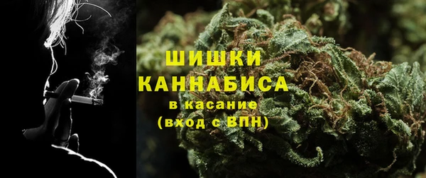 хмурый Дмитриев